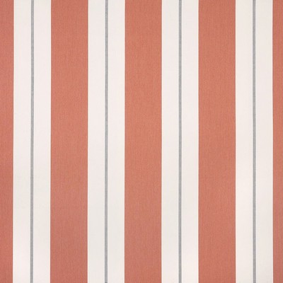 Silver State 57017 Relate 03 Persimmon